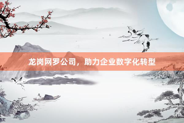 龙岗网罗公司，助力企业数字化转型